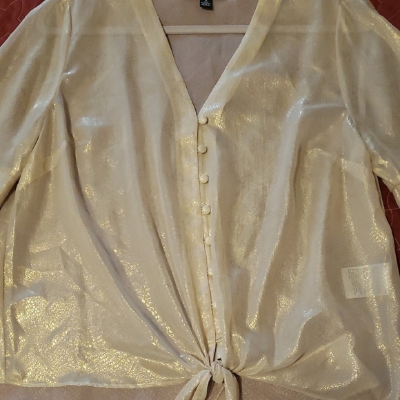 INC International Concepts Gold Cream Sleeve Blouse,zise M. - Picture 2 of 5
